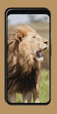 Lion Wallpaper android App screenshot 1