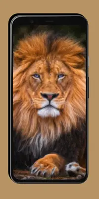 Lion Wallpaper android App screenshot 3