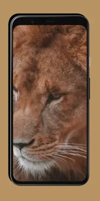 Lion Wallpaper android App screenshot 6